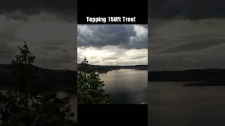 150ft Tree Topping Joy [upl. by Kcirrem]