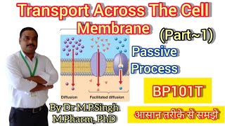 Transport Across Cell Membrane  Passive Process  Human Anatomy amp Physiology  BP101T [upl. by Surazal644]