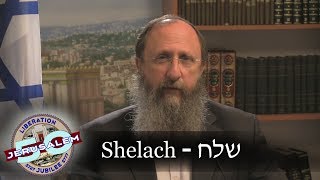 Weekly Torah Portion Shelach [upl. by Haakon692]