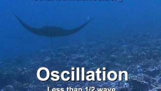 Undulation vs Oscillation [upl. by Hennessy]