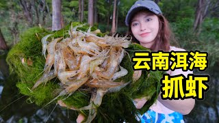 在云南洱海抓虾，100只白虾轻松上钩，做炸虾饼金黄酥脆！ 赶海  户外  美食  雲南  抓虾 [upl. by Ahsratal23]