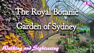 Royal Botanic Garden of Sydney Australia  4K Walking Tour  Exploring Sightseeing Travel Adventure [upl. by Daniell137]