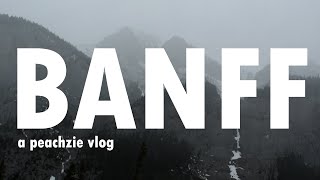 I went sledding down a mountain  Banff Vlog [upl. by Marguerita794]