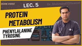 Protein Metabolism Book  lecture5  Phenylalanine amp Tyrosine  Dr Mahmoud Ettaweel [upl. by Eiramacissej957]