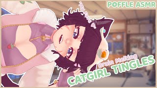 Catgirl Tingles amp Triggers You With Her Fave ASMR [upl. by Kcirdle790]