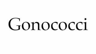 How to Pronounce Gonococci [upl. by Mackie]