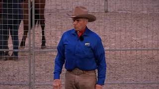 MONTY ROBERTS live  Equitana März 2019 [upl. by Leahcimal]