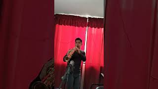 Kenny G Sax soprano cover kennyg ballad saxo saxophonists world [upl. by Mezoff]