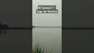 El caracol 🐌 Lago de Texcoco 🌅 [upl. by Ecinue878]