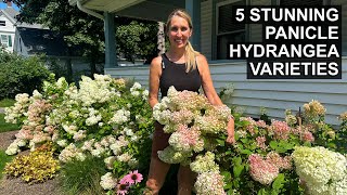 Love Hydrangeas Check Out These 5 Easy and Stunning Panicle Hydrangea Varieties [upl. by Aytak]