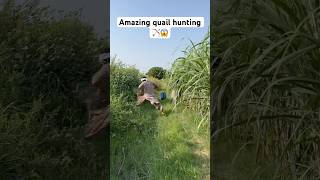 Amazing quail hunting 🏹😱 entertainment farming hunting shorts viralshorts youtubeshorts [upl. by Ylera846]