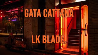 Gata Cattana  Lk Blade Lyrics  Letra [upl. by Natalina]