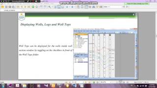 petrel stratigraphic modeling 1 [upl. by Kelly]