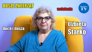 DUSZE ZWIERZĄT DUCH I DUSZA WCIELENIA  Odpowiedzi na pytania widzów  Elżbieta Starko [upl. by Yoo]