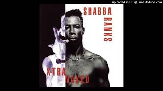 Shabba Ranks  Ting A Ling HQ Acapella  No Intro [upl. by Adnamma333]