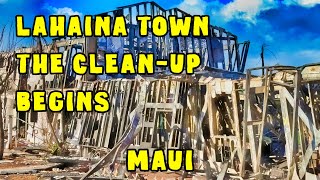 Lahaina Town Clean Up and Monkeypod Kitchen Last Look At Lahaina Town Happy Hour at Monkeypod [upl. by Fatsug953]