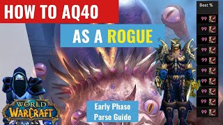 How to DPSParse as a ROGUE in AQ40 Early Phase Guide [upl. by Lorenz418]