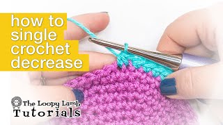 How to Single Crochet Decrease Stitch  Beginners Crochet Stitch Tutorials [upl. by Anelliw328]