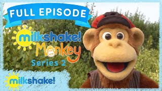 Milkshake Monkey  Hide and Seek  Full Episode [upl. by Acined]