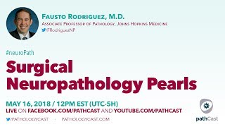 Surgical neuropathology pearls  Dr Rodriguez Hopkins NEUROPATH [upl. by Auhesoj]