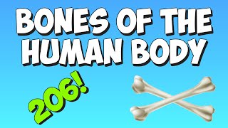 Learn the bones of the human body with the Bones Song [upl. by Anovahs]