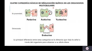 Señalización celular GeneralidadesI [upl. by Nylsej]