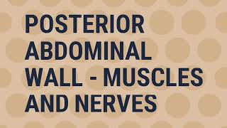 POSTERIOR ABDOMINAL WALL  MUSCLES AND NERVES  BY DR MITESH DAVE [upl. by Lilia]