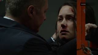 The Blacklist Season 4  Liz amp Red  Another Love [upl. by Dlonyar]