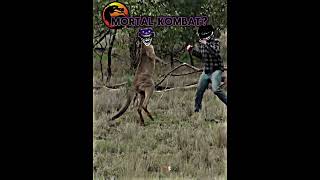 Kangaroo didnt give up until last moment [upl. by Rusty]