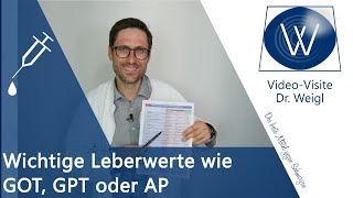 Wichtige Leberwerte erhöht GOT GPT Gamma GT verbessern amp senken ⏩ Bedeutung amp Ursachen verstehen [upl. by Boniface]