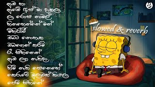 Manoparakata මනෝපාරකට Shinhala Song Slowed And Reverb Playlist 01  Calm vibes  Mind relaxing [upl. by Olivero]