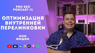 Фишки оптимизации внутренней перелинковки сайта  Плагин CherryLink Pro  PRO SEO Podcast 1 [upl. by Aisauqal]