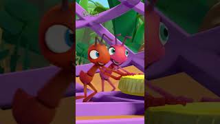 What Could The Ants Use This For  Antiks 🐜  Funny Cartoons for Kids [upl. by Anitsua169]