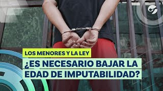 BAJA DE LA EDAD DE IMPUTABILIDAD un debate sobre punitivismo y derechos [upl. by Aivekal240]