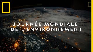 Aujourdhui cest la Journée mondiale de lenvironnement [upl. by Royal]