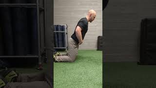 Nordic Hip Hinges for Strong Hamstrings [upl. by Delaney676]