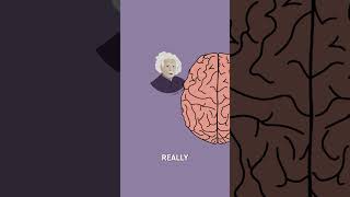 Is being leftbrained or rightbrained a myth shorts sciencefacts brainfacts drbin3 cosi [upl. by Uos]