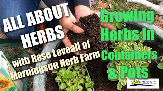 38 Growing Herbs in Containers amp Pots  Morningsun Herb Farms 8video series quotALL ABOUT HERBSquot [upl. by Ahsitra]