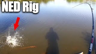 Bank Fishing with a NED Rig and How I Caught a Bass  Finally [upl. by Gavriella]