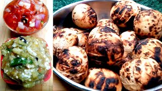 litti chokha recipe  आग पर बना बिहार का फेमस लिट्टी चोखा  Bihars famous Litti Chokha recipe [upl. by Ailemaj26]