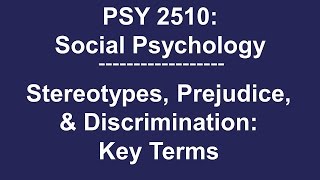 Stereotypes Prejudice and Discrimination Definition Differences and Examples [upl. by Erasmo6]