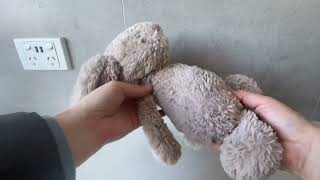 Jellycat Bashful Beige Bunny  Review [upl. by Brick810]