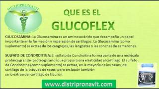 GLUCOFLEX [upl. by Jonell]