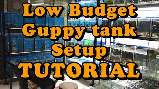 How to setup Guppy Tanks Aquarium in a Simple way and With Low Budget by GuppyMNL [upl. by Alenairam]