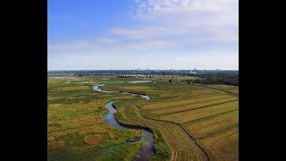 Een eeuw verkavelen in Drenthe [upl. by Nikolai323]