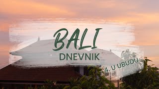 Indonezijski dnevnik 4 U Ubudu Bali [upl. by Ayila]