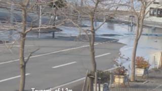 Tsunami in Kesennuma Bay from Chile28 February 2010 [upl. by Trini536]