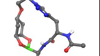 Boronic esterlinked macrocycles as warheads against serine proteases [upl. by Adile]