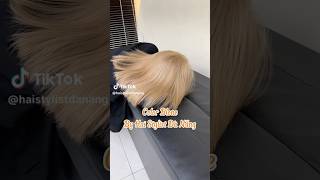 Thử nhuộm màu Blone và cái kết haistylistdanang hair tocdep xuhuong viralvideo nhuomtoc [upl. by Margi538]