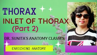 Inlet of Thorax Part 2 [upl. by Acimot781]